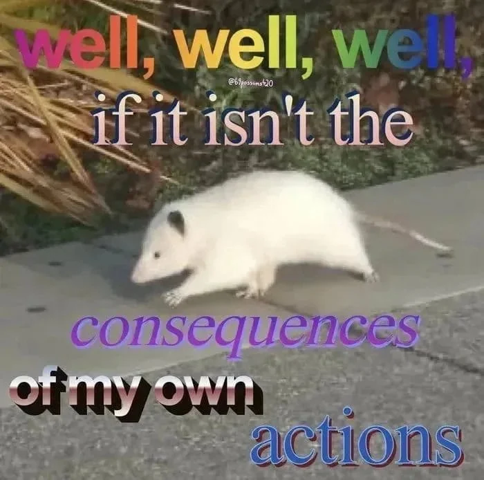 Meme of a white opossum walking on a sidewalk